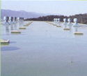 Resin for Flooring, Water proofing, Anticorrosive treatment & Sealing